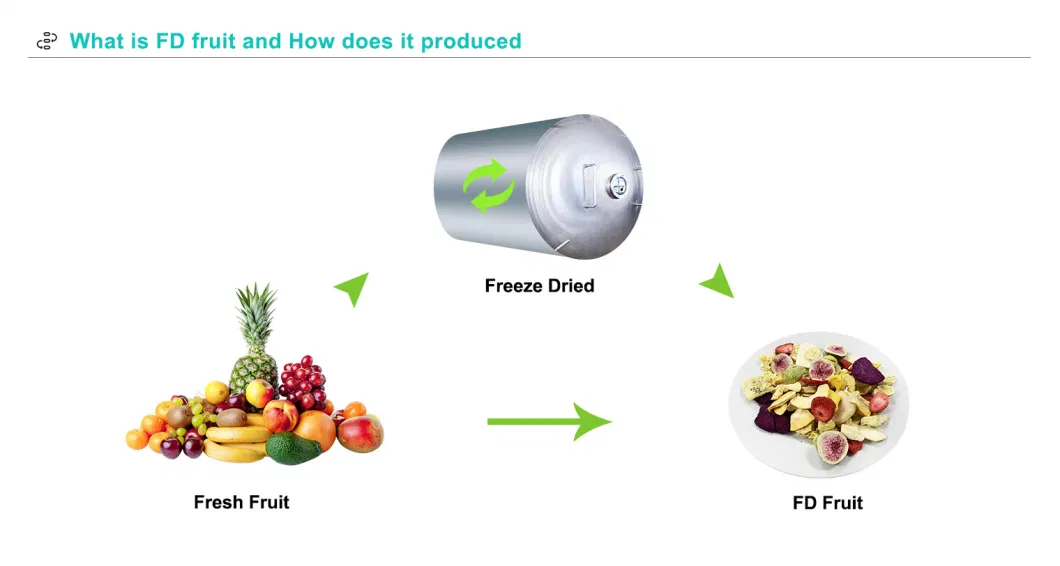 Vacuum Fried and Freeze Dried Crispy Chips Varieties of Dried Fruit and Vegetable Snacks