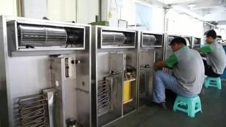 La fabbrica vende direttamente il nocciolo di noce dello Yunnan