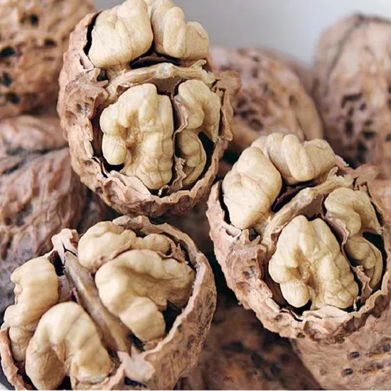 Gherigli di noce extra leggeri dimezzati Gherigli di noce di qualità di produzione cinese