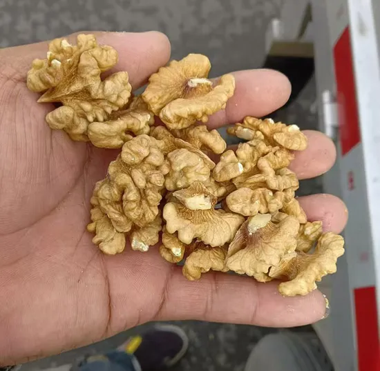 Nuovo raccolto di noccioli di noce dello Xinjiang